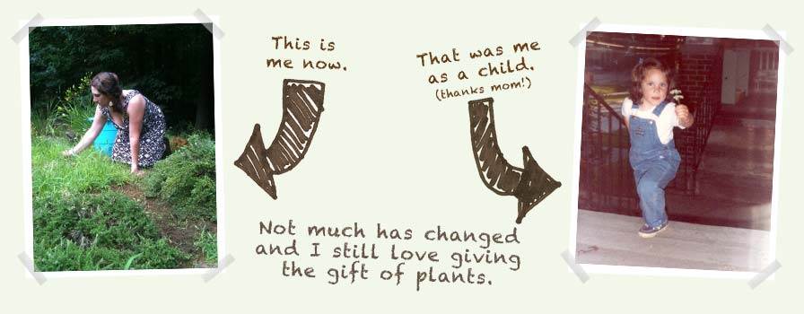 Give the gift of plants