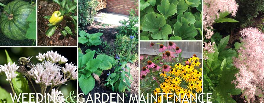 Jessecology provides weeding and garden maintenance