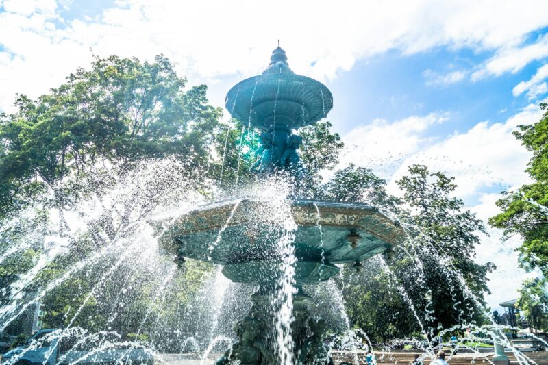 How to get rid of mosquitoes in backyard naturally means water should be flowing.