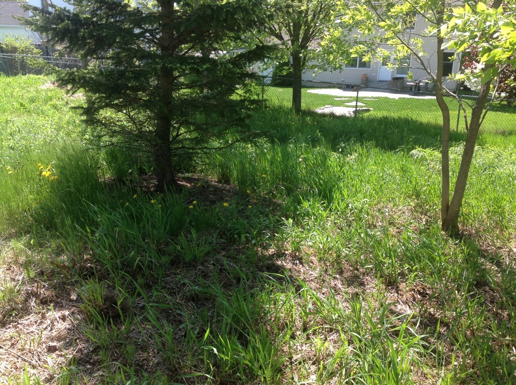 A private Ballston Spa nature preserve.