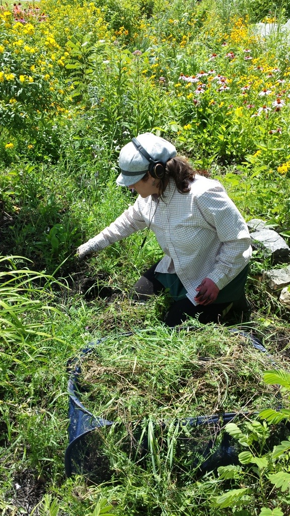 Municipal gardens project