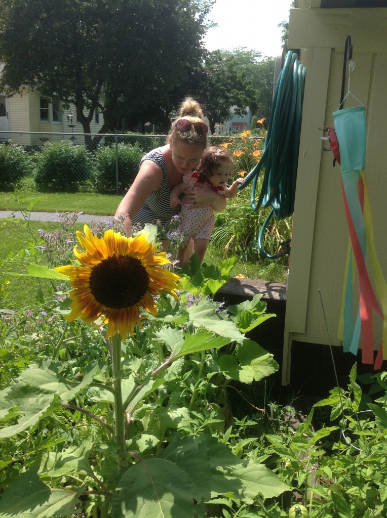 Edible gardening in Saratoga