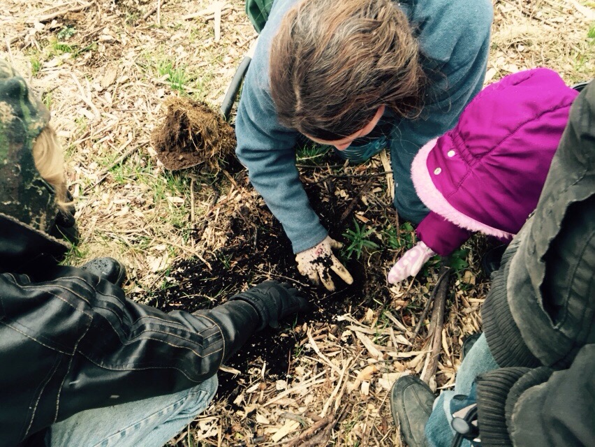 Homeschool Butterfly Garden Project