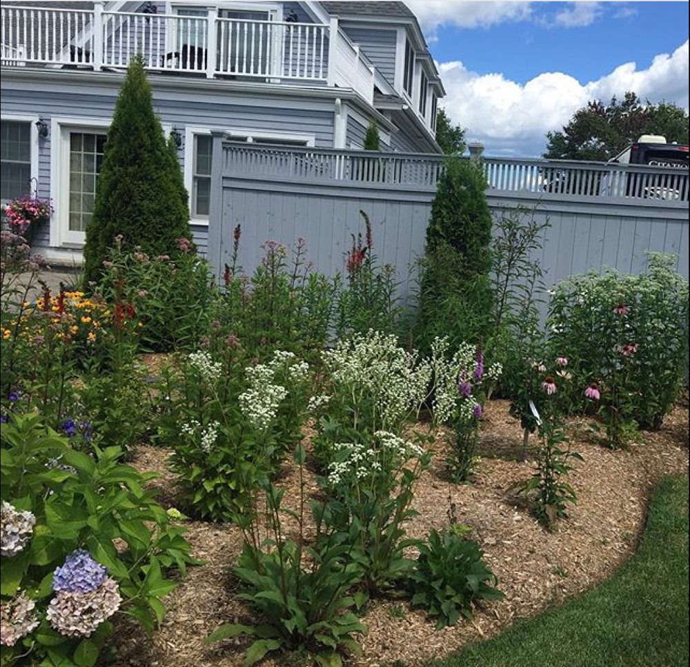 Established native plants landscaping in Saratoga Springs, NY