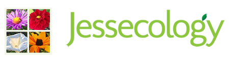 Jessecology Logo