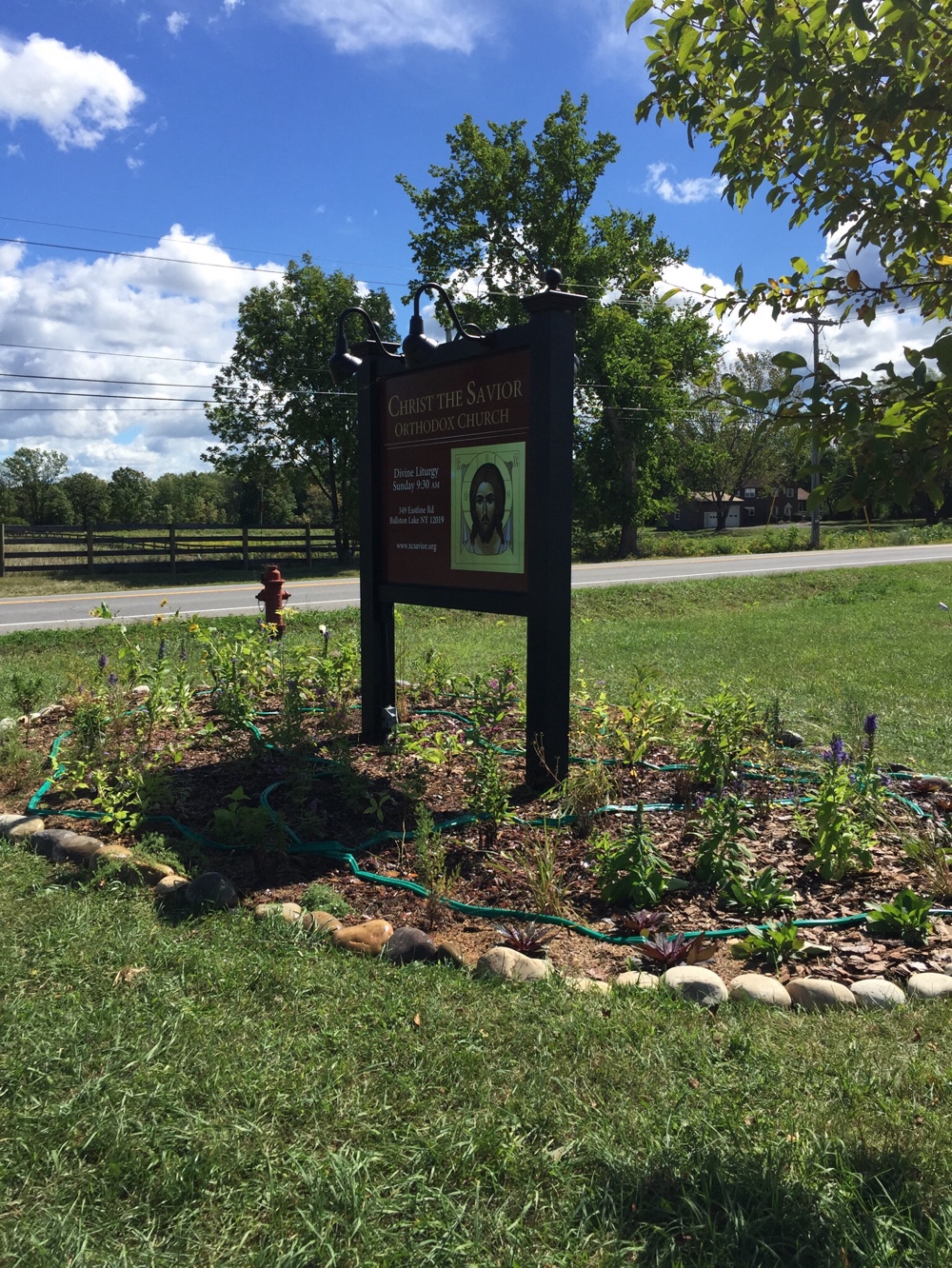 Native plant development in roadside garden