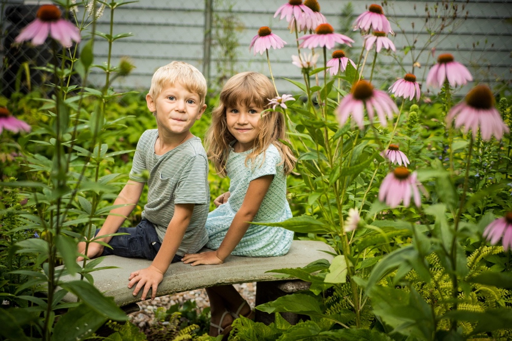 Native Plants in the Natural Landscaping