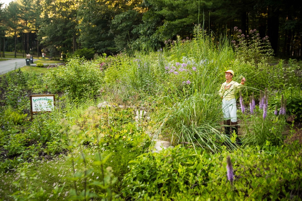 Lawn Jockey in the Saratoga Natural Landscaping