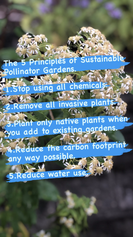 Sustainable Garden Principles.