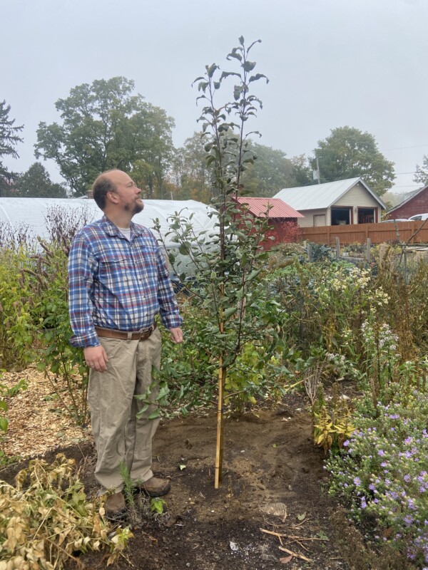 For the best apple picking in upstate NY, stay home!