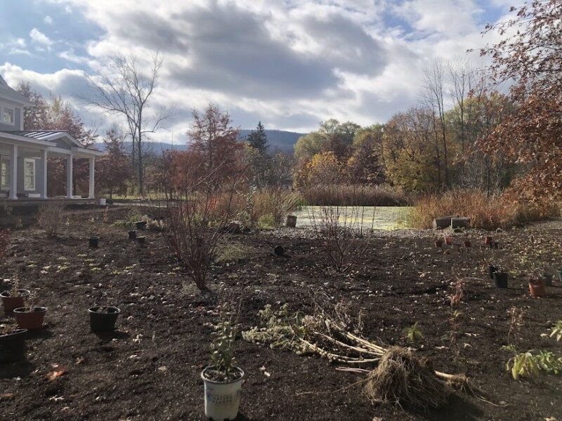 Homegrown National Park style landscaping is a way for us to lovingly plan for the future.