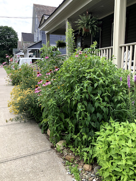 Saratoga Springs, NY gardens.