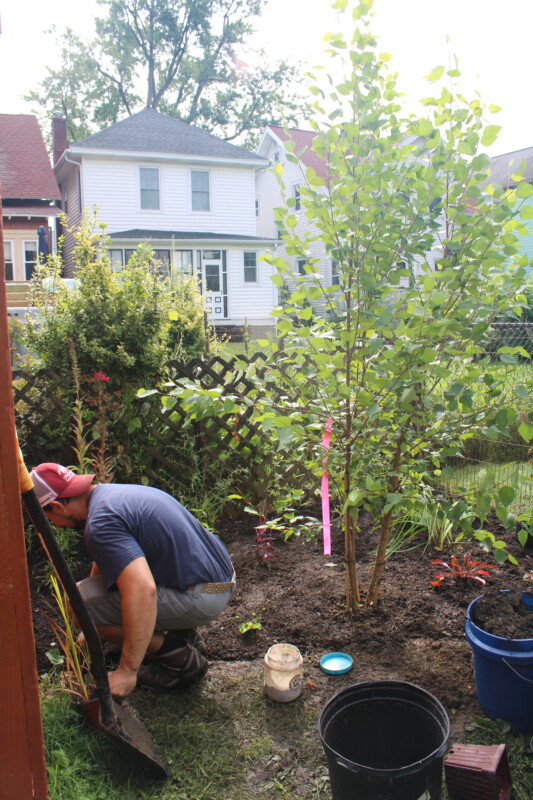 organic gardening with tree planting.