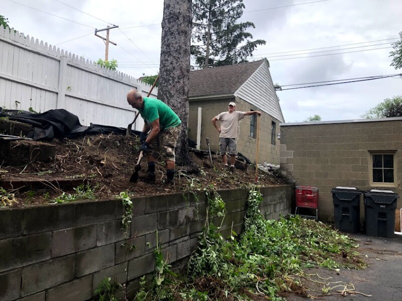 Weeds being removed from the hillside garden.