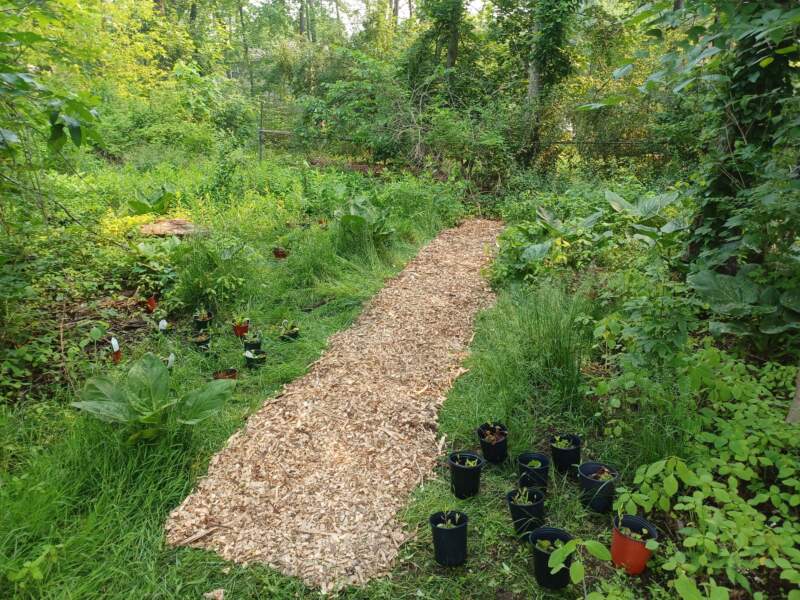 Natural landscaping ideas can include paths.