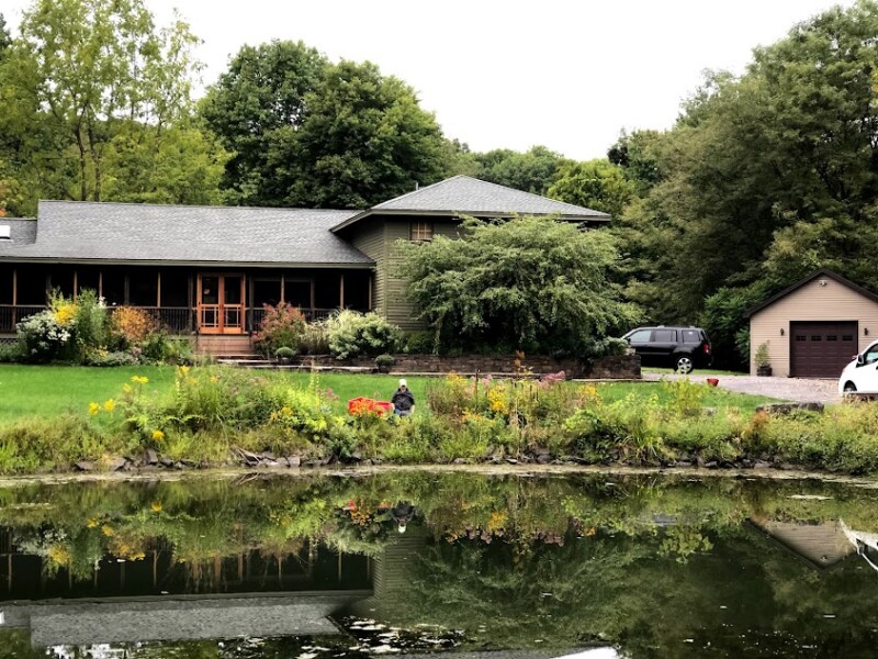 Wetland Gardening is the best choice for pond edges.