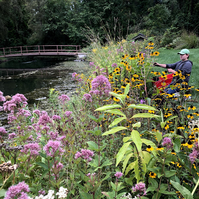 Weeding large gardens.