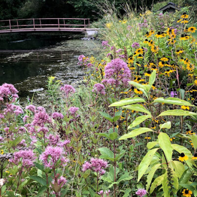 wetlands for ecological stormwater solutions.