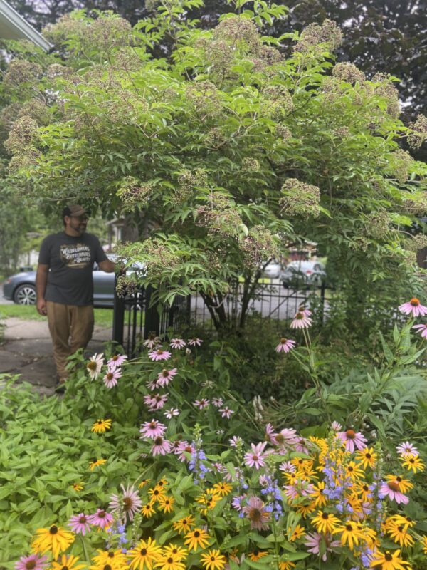 Climate resilient landscaping installation is the future of our industry.