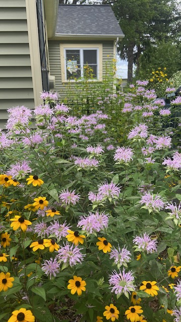 A maintenance free landscaping example in Saratoga Springs, NY.