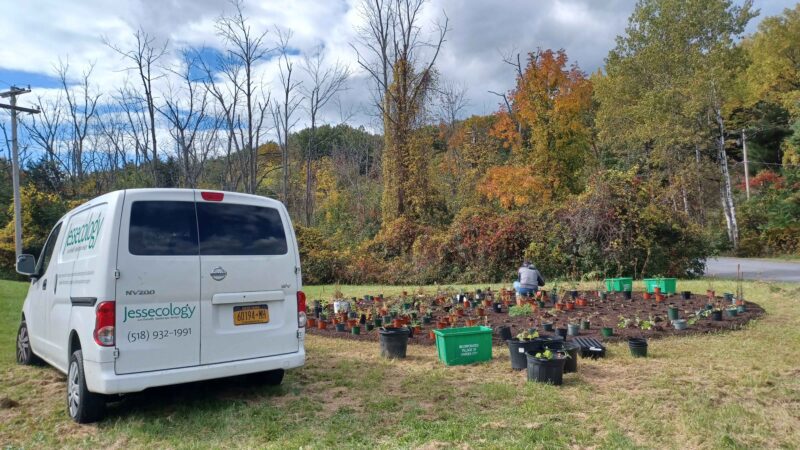 Fall plants to plant.