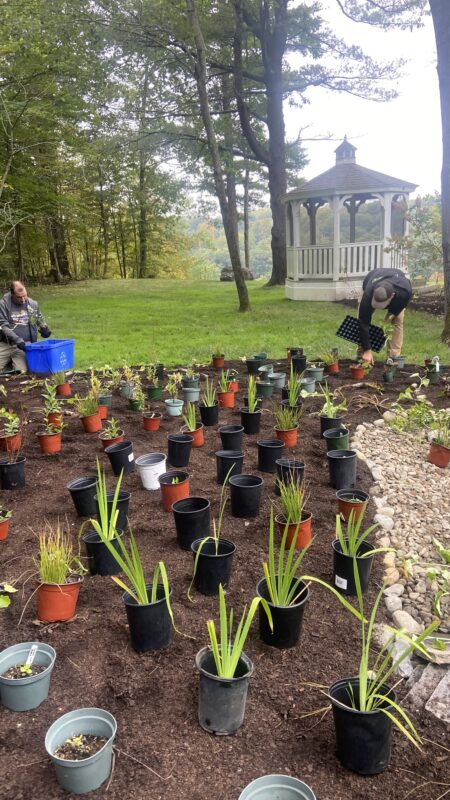 What is a rain garden?