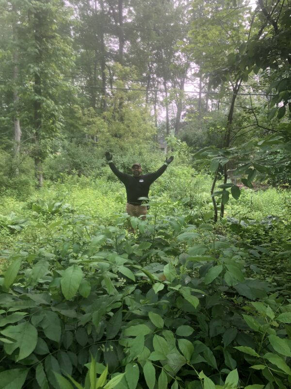 Jessecology and swamp plants.