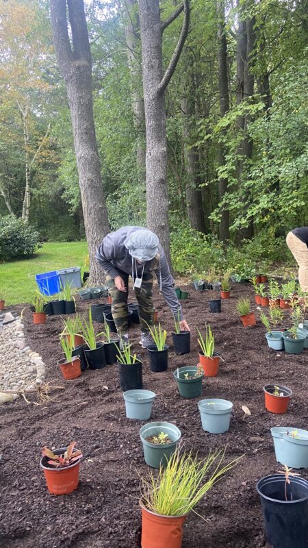 Climate change gardens have restored soil health.