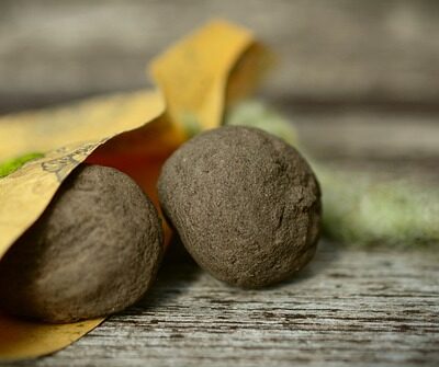 Native seed bombs are fun to make and use.