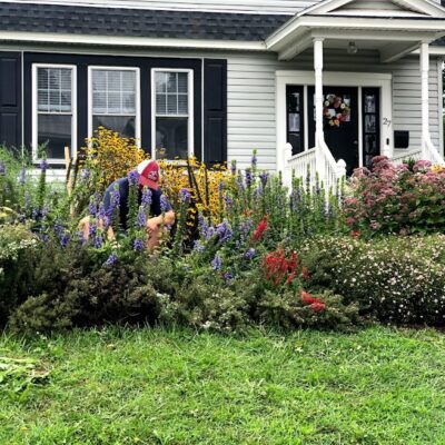 Urban gardening is a delightful oasis in a jungle of concrete.