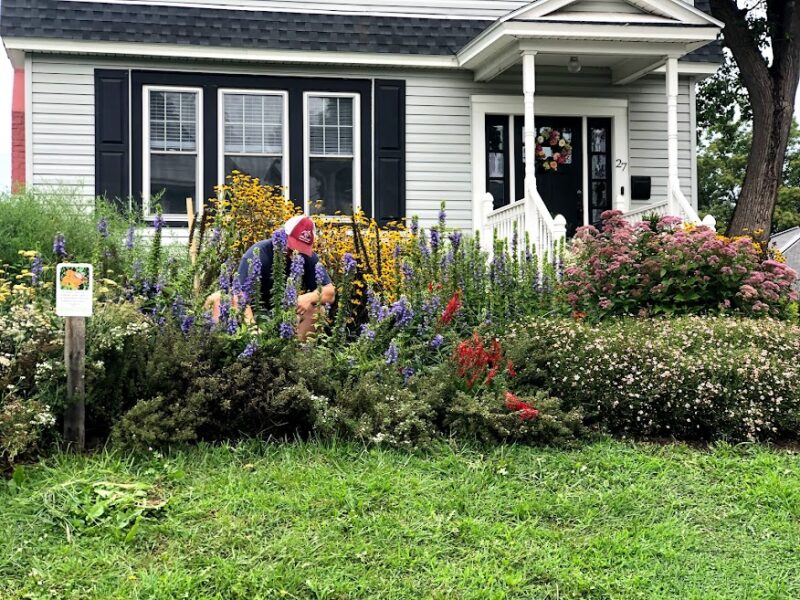 Urban gardening is a delightful oasis in a jungle of concrete.