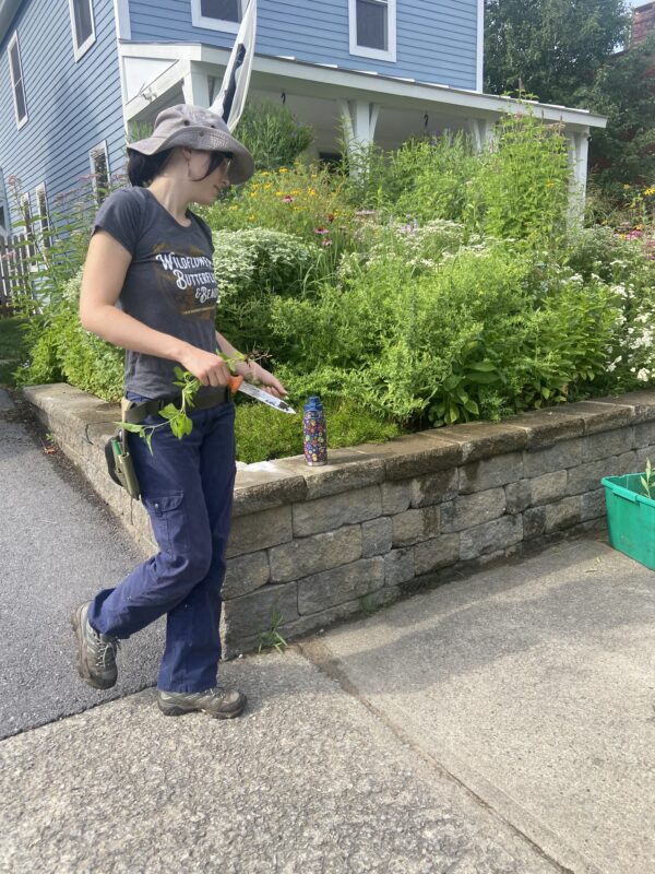 Urban Gardening stewardship.