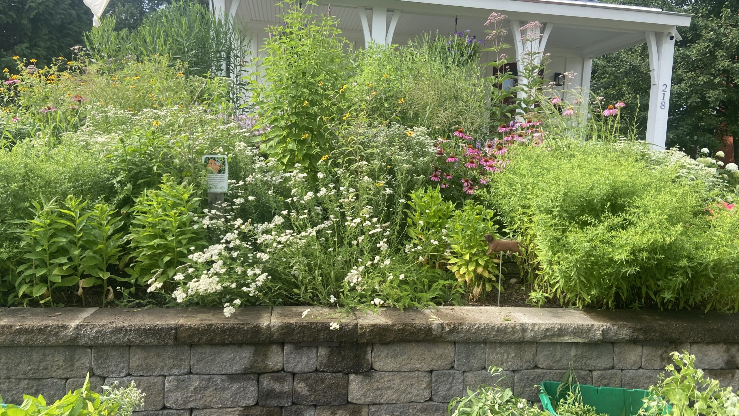 Urban Gardening