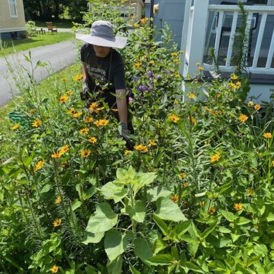 Garden stewardship is hard work.