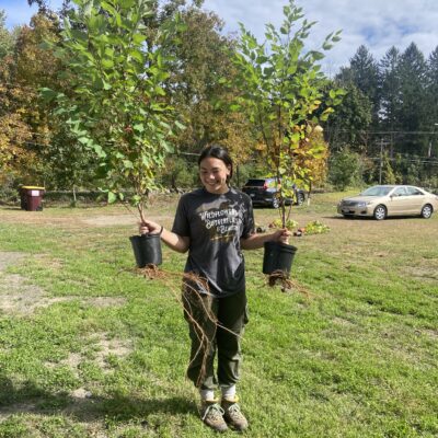 Buying native plants & the tree planting service.