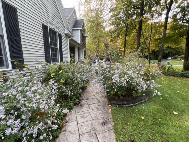 Front yard permaculture starts with the dream of harvesting food at home.
