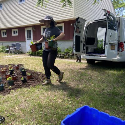 Habitat restoration landscaping