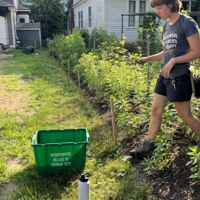 Native plant garden care.