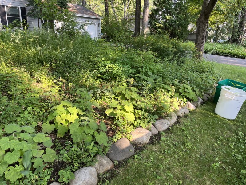 Low maintenance landscaping ideas.