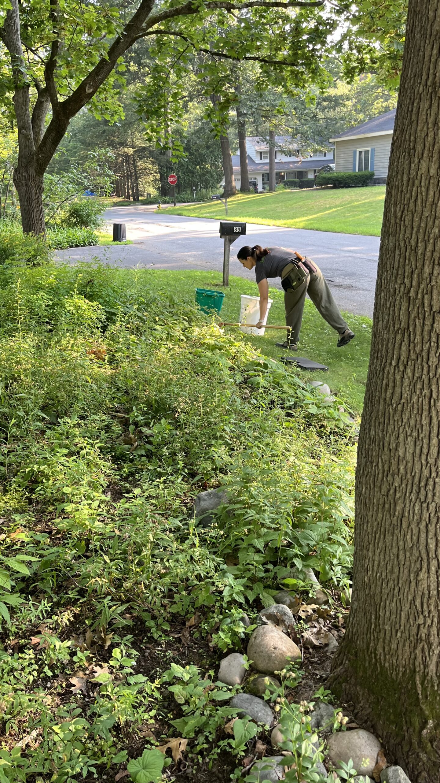 Low Maintenance Hillside Landscaping - Jessecology, image size:1440x2560