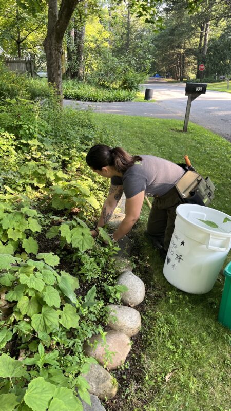 Gardening 101: weeding.