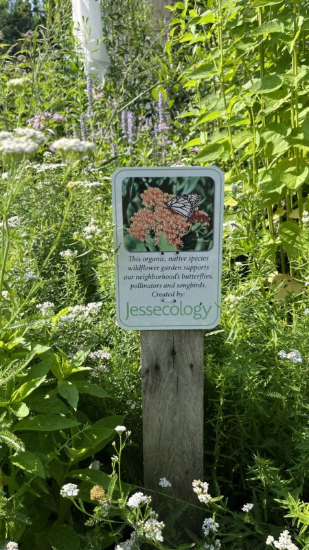 Landscaping Rochester NY