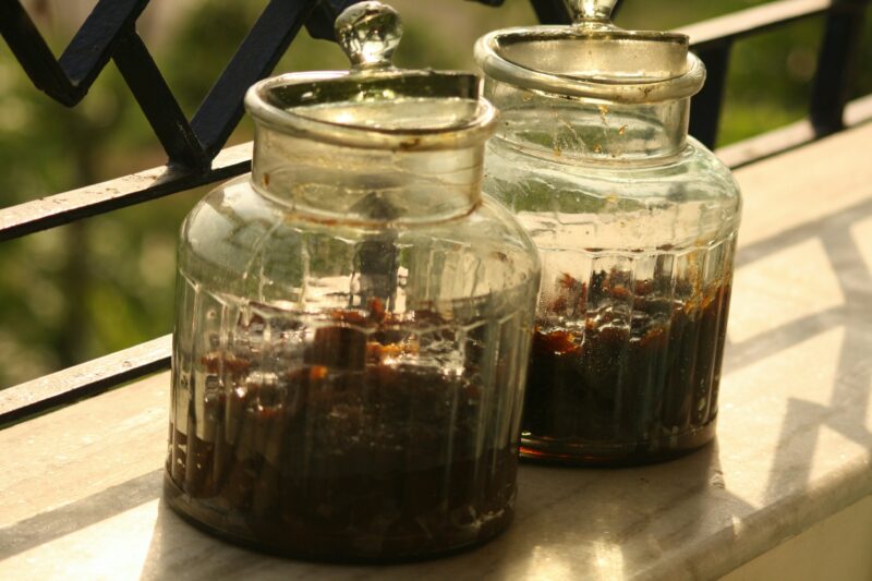 Compost tea is the panacea to garden problems.