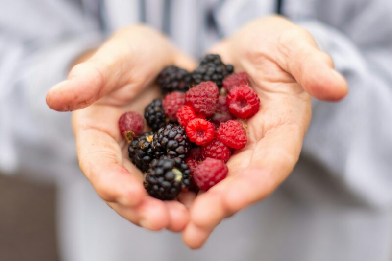 homesteading berries.