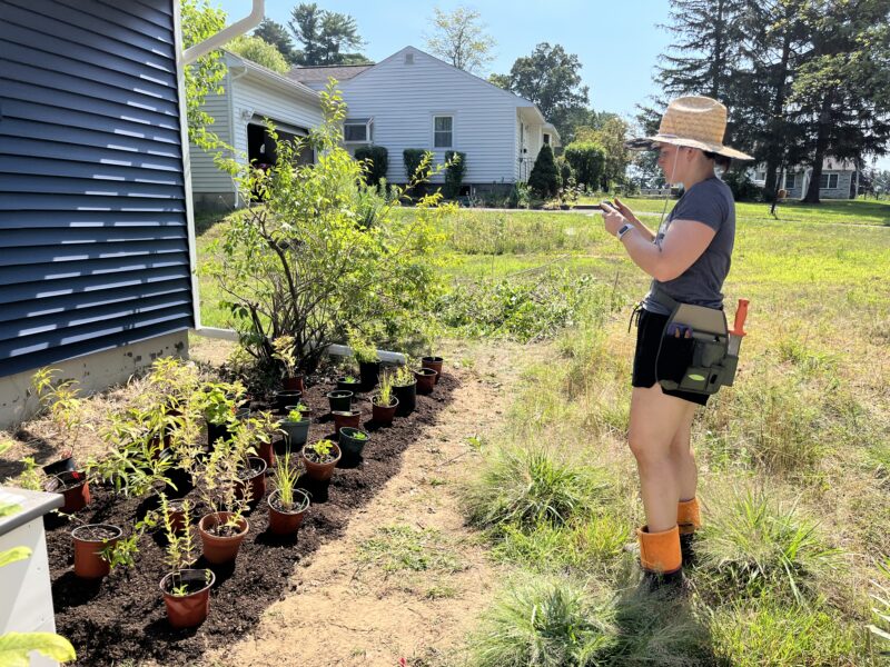 Preparing your garden for winter- planting!