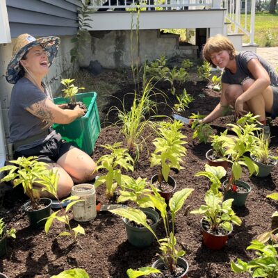Plant densely, and avoid a common landscaping mistake!