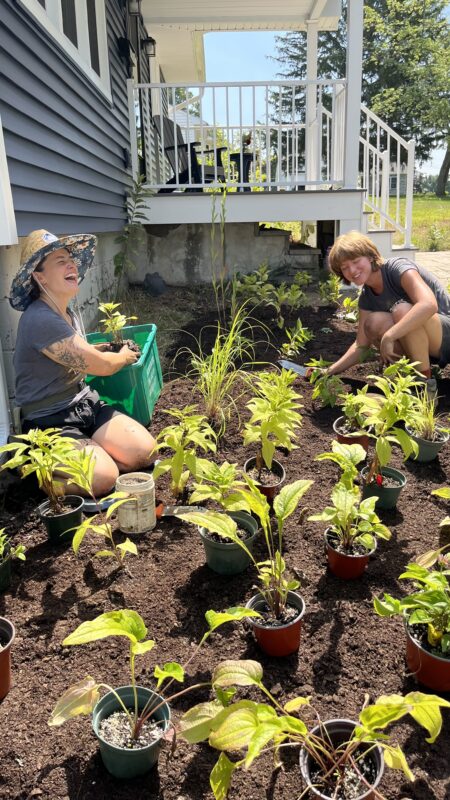 Plant densely, and avoid a common landscaping mistake!