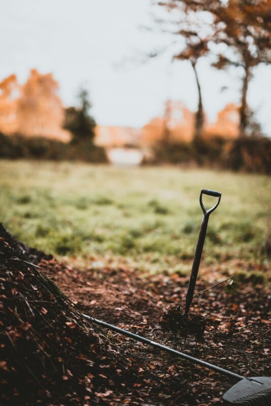 what is mulch- compost!