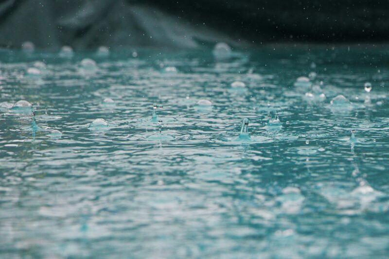 Rain in the permaculture garden.