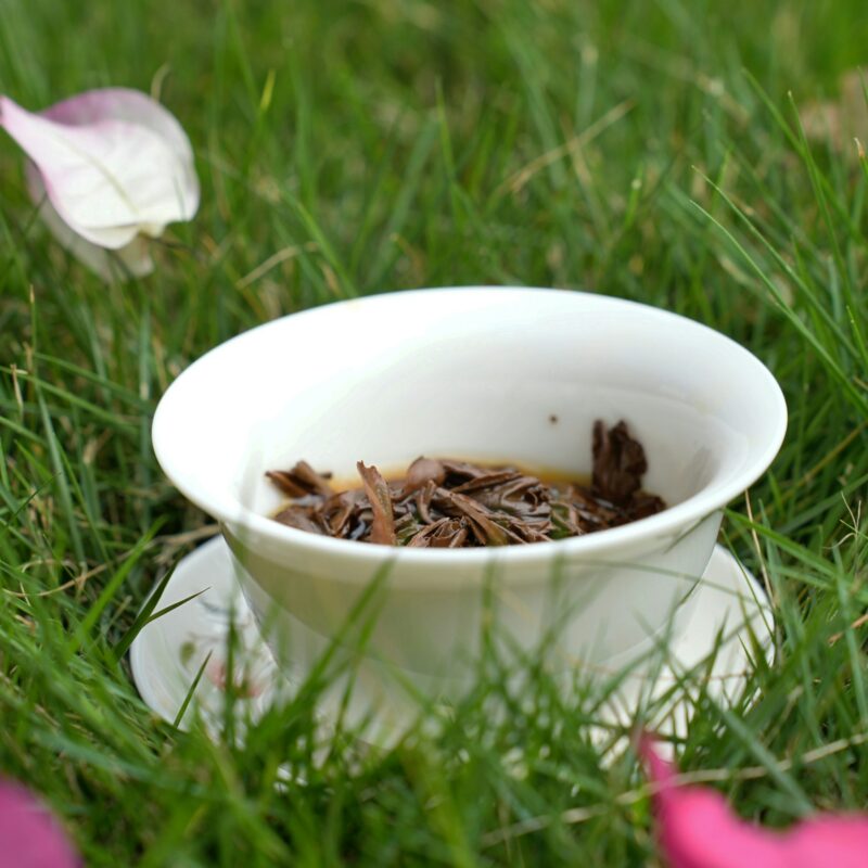 Compost tea for the win.